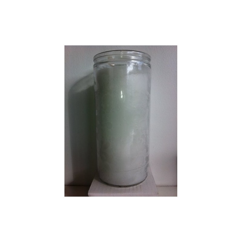 White 14 Day Unscented 1 Color Candle in Glass