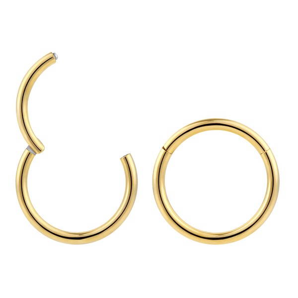 1 Pair Titanium 16G (Regular) Hinged Segment Ring Hoop Sleeper