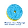 CELOX Dish Sponge with Handle with Holder for Cleaning Kitchen