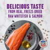Stella & Chewy's Meowfulls Freeze Dried Cat Treats Whitefish &