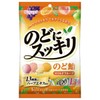 Kasugai Throat Refreshing Fruit Assortment, 4.2 oz (118 g) x