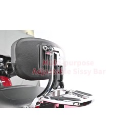 CB Multi-Purpose Driver Backrest Sissy bar For Harley Breakout Fat Boy 2018-2024