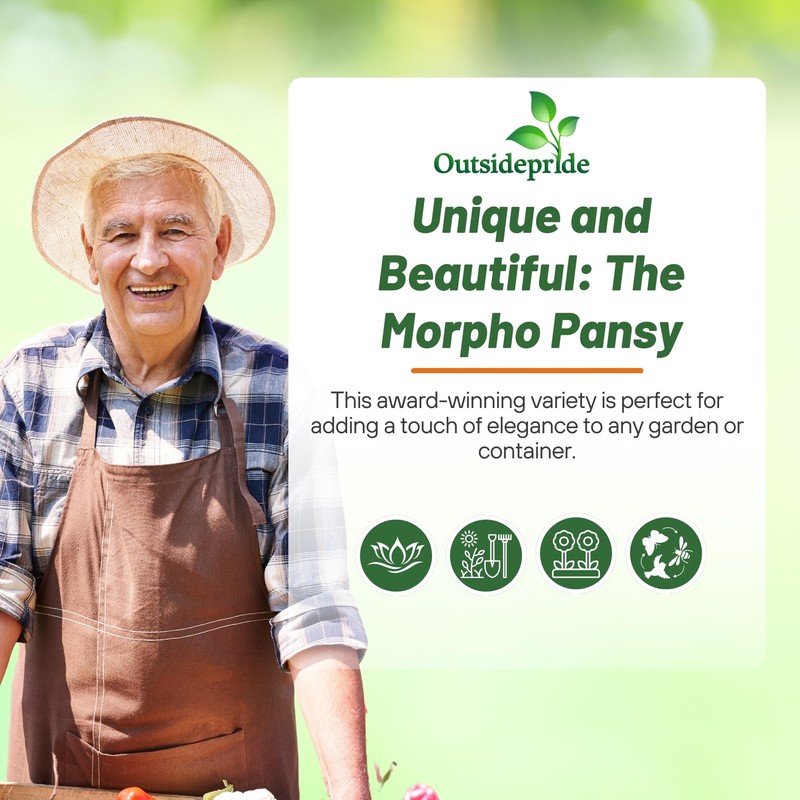 Outsidepride 100 Seeds Viola Pansy Ultima Morpho Flower Seeds for