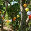 GuirLED - Outdoor garland with light balls LED guinguette -