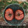 Black Krim Heirloom Purple Slicing Tomato - 50 Seeds -