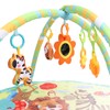 Baby Gym Play Mat with Toys Round Activity Game Combination