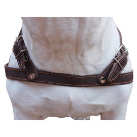 Leather Dog Pulling Walking Harness 33"-37" Chest, 1" Wide Straps. Pitt Bull, Rottweiler