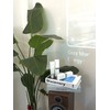 Herisco Granet Hand Cream / 헤리스코 그라네 핸드크림
