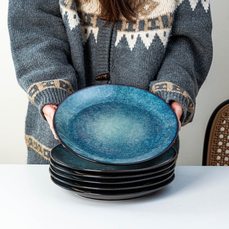 YALONG Dinner Plates Set of 6, 10 Inch Ceramic Plates