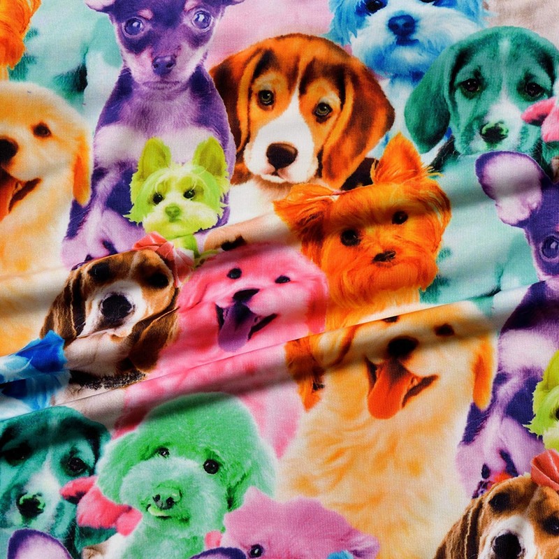 Jxstar Swimsuits for Girls 4t 5t Dog Bathing Suits Swimwear