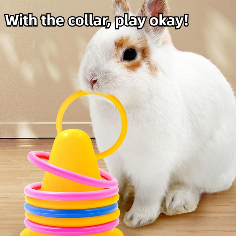 Rabbit Training Ring Toy, Rabbit Interactive Toy, Bunny Educational Toys