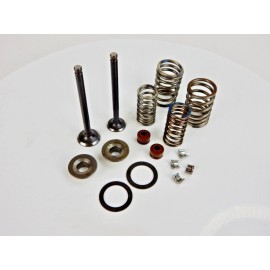 GY6 STORE 69mm INTAKE EXHAUST VALVE SET 50cc 60cc 80cc 100cc QMB139 MOTORS TAO WOLF GATOR