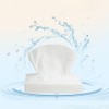 HugeDE 5 Packs Car Tissues Car Visor Napkins Car Travel