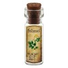 MyTinyWorld Dolls House Apothecary Goldenseal Herb Short Colour Label And