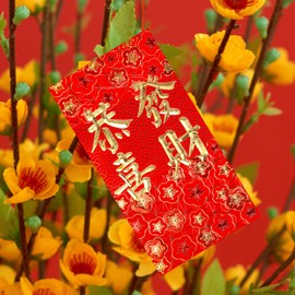 Winlyn 120 Pcs 6 Designs Asian Red Envelopes Chinese Hong Bao Lucky Money Envelopes Lai See Packet Cash Envelopes Red Packets Red Pockets for Chinese Lunar New Year Wedding Birthday Snake Year 2025