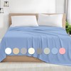 Rohi Microfibre Single Flat Sheet Sky Blue – Comfy Soft