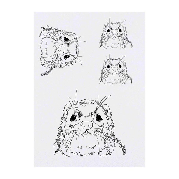 Azeeda 4 x 'Ferret Face' Temporary Tattoos (TO00013988)
