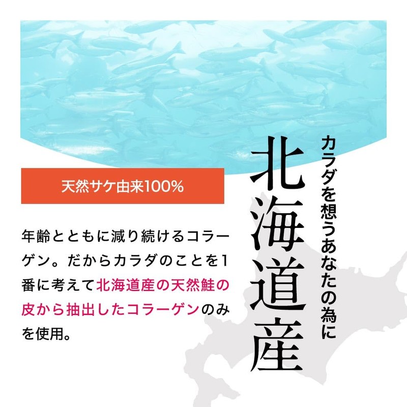 オーガランド コラーゲンパウダー (100g) NIPPONコラーゲン コラーゲン 国産 粉末 低分子 コラーゲンペプチド フィッシュコラーゲン