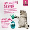 Stimulating Pink Catnip Tumbler for Cats with Feathers – Interactive