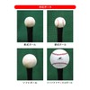 Field Force Baseball Training Equipment Rubber Batting Tee Stand FBT-322