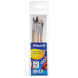 Pelikan 718163 Brush Starter Set in Transparent Bag with 1 Hair Brush Size 2, 4, 6 and 1 Bristle Brush Size 6, 10 (Pack of 3)