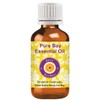 Deve Herbes Pure Bay Essential Oil (Pimenta racemosa) with Glass