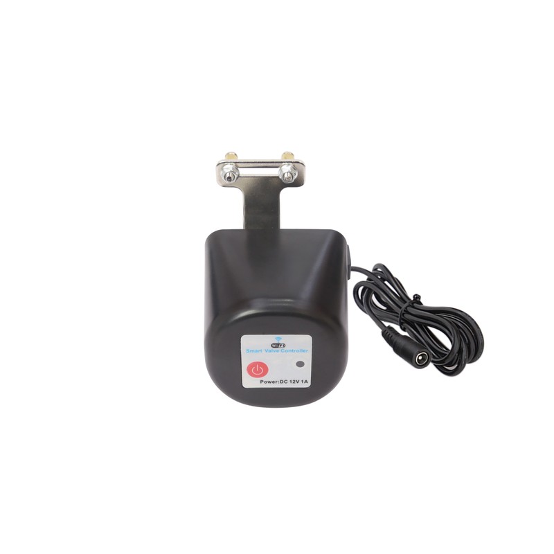 Smart WiFi Water Valve Voice Control Humanized Setting Remote Water