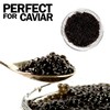 Caviar Line Small Mini Glass Jars With Tin Lids -