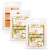 The Candle Daddy - Honeysuckle Jasmine - Floral Honeysuckle &