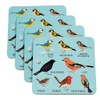 Garden Birds Coasters (set Of 4)