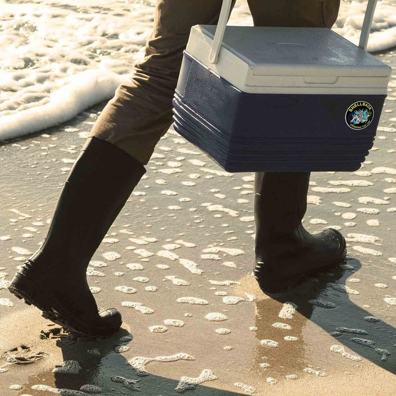 US Navy Shellback Crossing The Line Neptune Circle Decal/Bumper Sticker