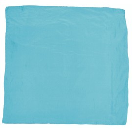 Wyoming Traders Solid Silk Wild Rag Scarf - Turquoise Turquoise