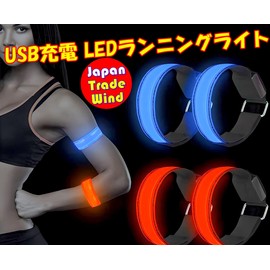 TradeWind Running Light, Reflective Band, Armband, Walking Light, Jogging Light, Type-C Charging, LED (2 Blue)