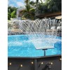 Whale Tail Pool Fountains for Above and In-ground Pools