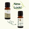 Plant Therapy Ginger Root CO2 Essential Oil 100% Pure, Undiluted,