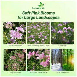 Outsidepride Perennial Crown Vetch Seeds - 2 lb. Drought-Tolerant, Fast-Growing Ground Cover for Erosion Control, Great for Perennial Wildflower Gardens
