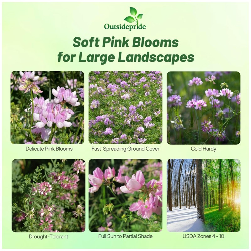 Outsidepride Perennial Crown Vetch Seeds - 2 lb. Drought-Tolerant, Fast-Growing