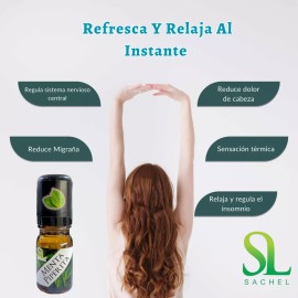 Sachel Menta Piperita Original Roll On 8ml Aromaterapia