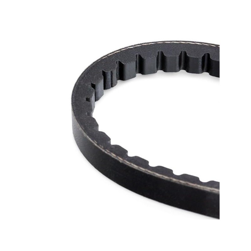 Contitech AVX10x1025 V-Belt