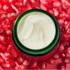 Firming Day Cream - Pomegranate & Maca Peptides, Antioxidant Moisturiser,