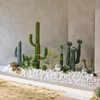 FANTIAN 40 lbs Large White River Rocks for Landscaping, 2-3