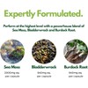 Nutripact Sea Moss Capsules 3280mg – Bladderwrack & Burdock Root,
