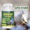 VITOFARMA SPIRULINA FOR PIGEON 100TAB PERFORMANCE FORMULA FOR RACING PIGEON