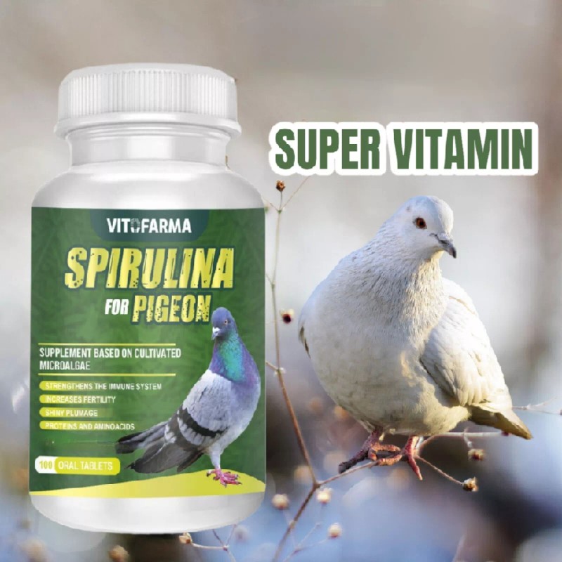 VITOFARMA SPIRULINA FOR PIGEON 100TAB PERFORMANCE FORMULA FOR RACING PIGEON