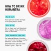 Humantra Electrolytes Powder - 12 Sachet Variety Pack - Powdered
