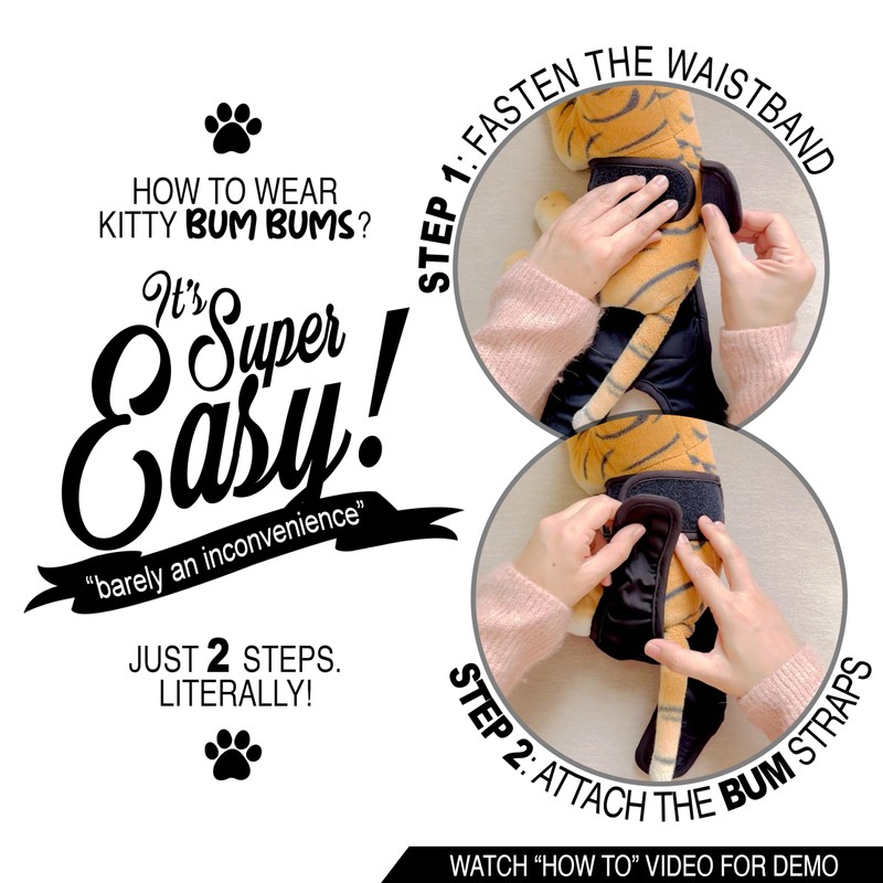 Kitty Bum Bums Reusable Cat Diapers and Stud Pants to
