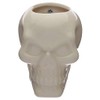 Ceramic Skull Garden Wall Planter