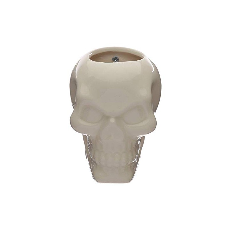 Ceramic Skull Garden Wall Planter