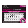 Magnetic Individuals Short