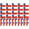 Chile Flag, Chilean Party Favors c